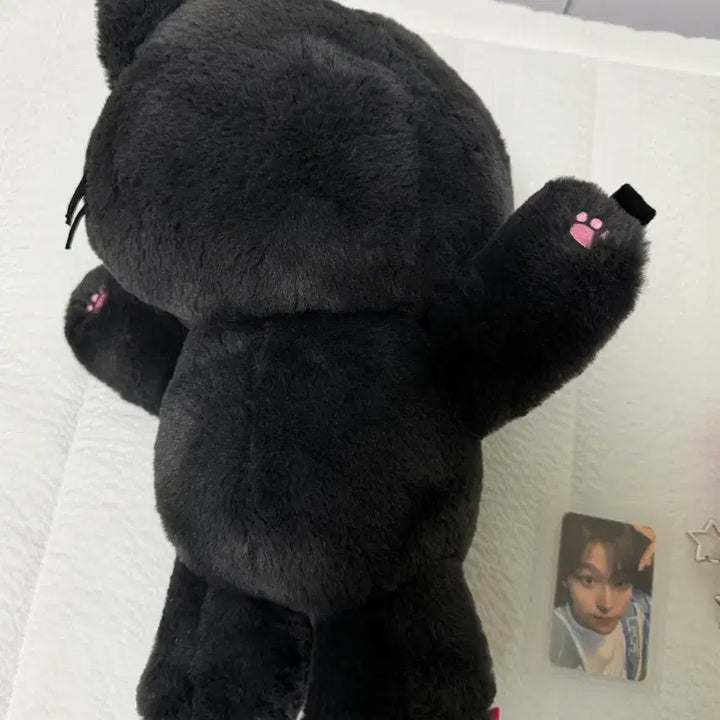 [BUNJANG] NCT WISH Riku Kuri Bag Full Set Photocard / 엔시티 위시 쿠리 가방 풀셋(본품+끈+포카)