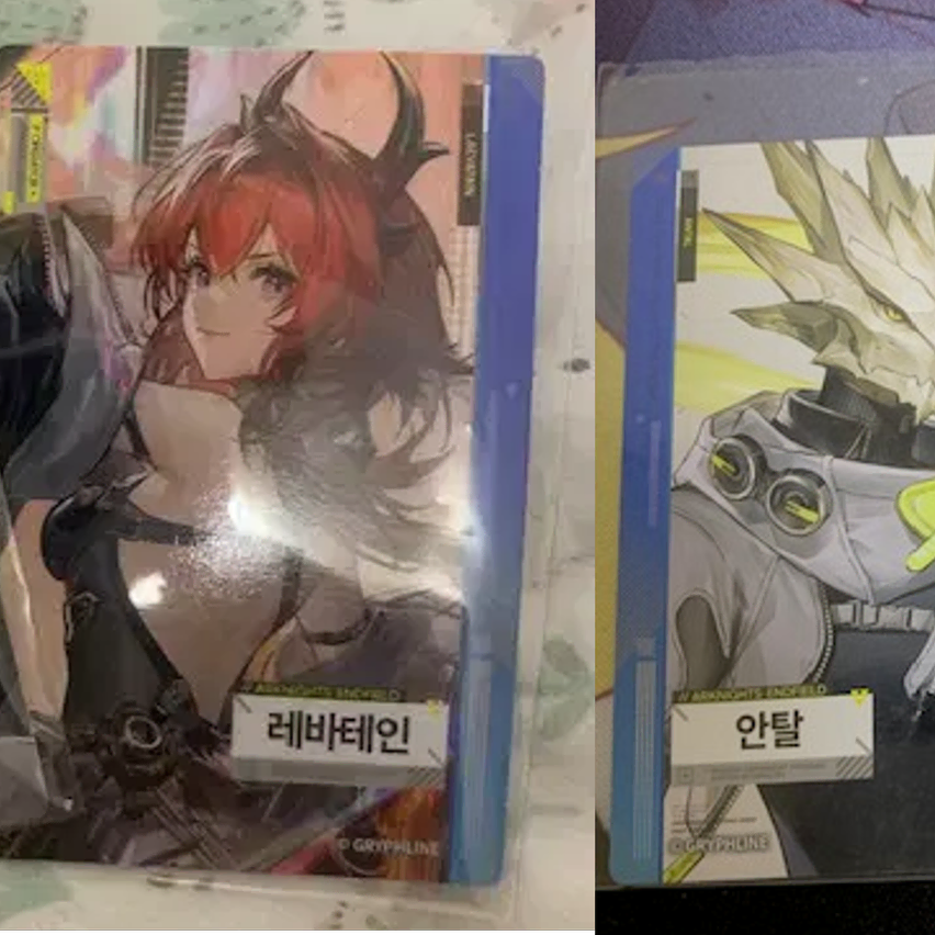 [BUNJANG] Endfield Photocard / 엔드필드 포토카드 판매합니다. (장당 3000)