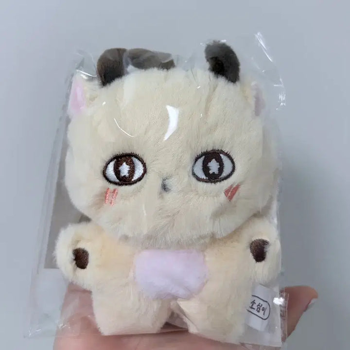 [BUNJANG] Park Jihoon SoSimi Doll Keyring (Sealed) / [미개봉/현물] 박지훈 굿즈 MD 소심이 인형 키링