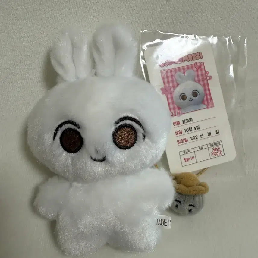 [BUNJANG] SEVENTEEN Jeonghan Jjongmochi Doll / 세븐틴 정한 인형 쫑모찌 양도