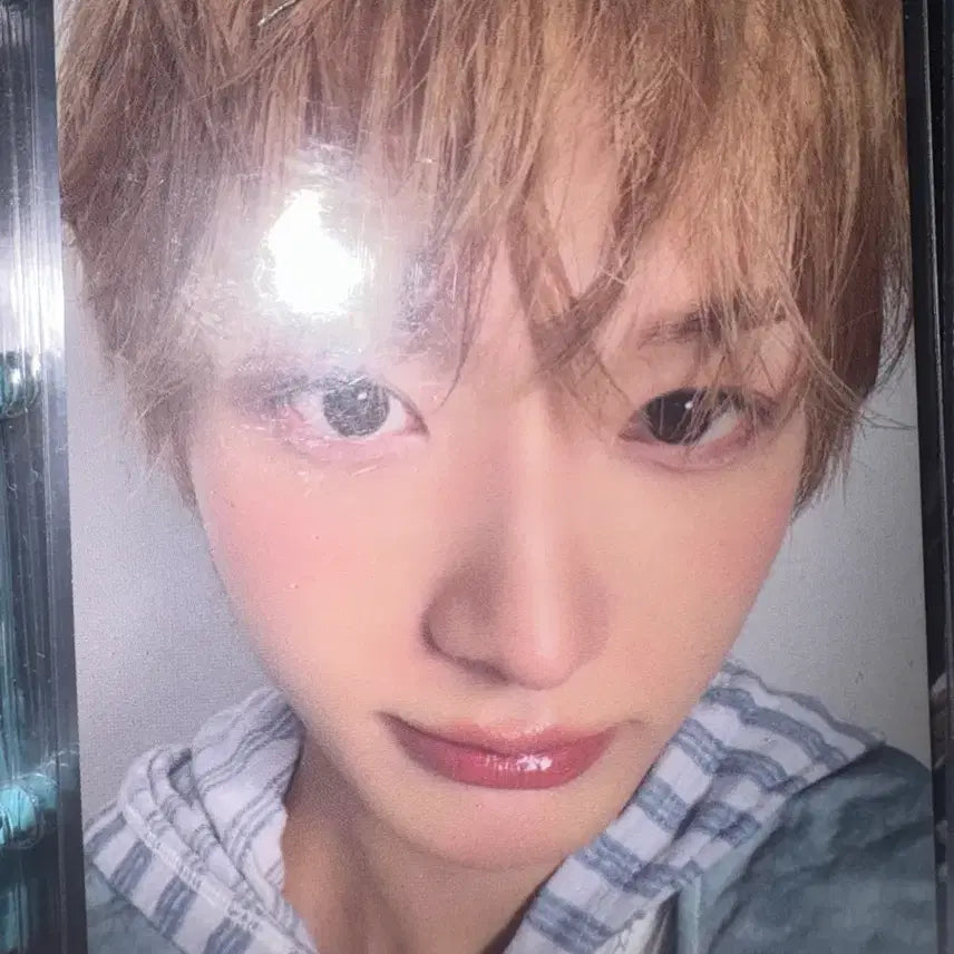 [BUNJANG] Kickflip Fairytale Fan Concert Trading Card / 킥플립 동화 팬콘서트 트레카