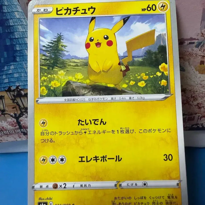 [BUNJANG] Japanese Pokemon Card Pikachu Album Card / 일판 포켓몬카드 피카츄 앨범용