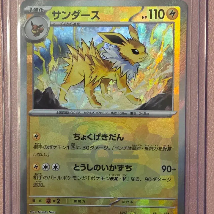 [BUNJANG] Pokemon Center Japan Jupitor Thunder Master Ball / 쥬피썬더 마스터볼 일판