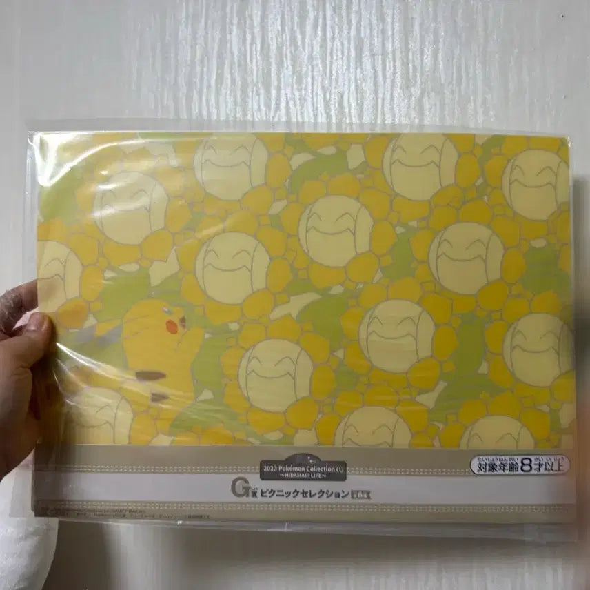 [BUNJANG] Pokemon Lottery Blanket D Prize (Sealed) + Bonus Gift / 포켓몬스터 쿠지 담요 D상 (미개봉) + 사은품