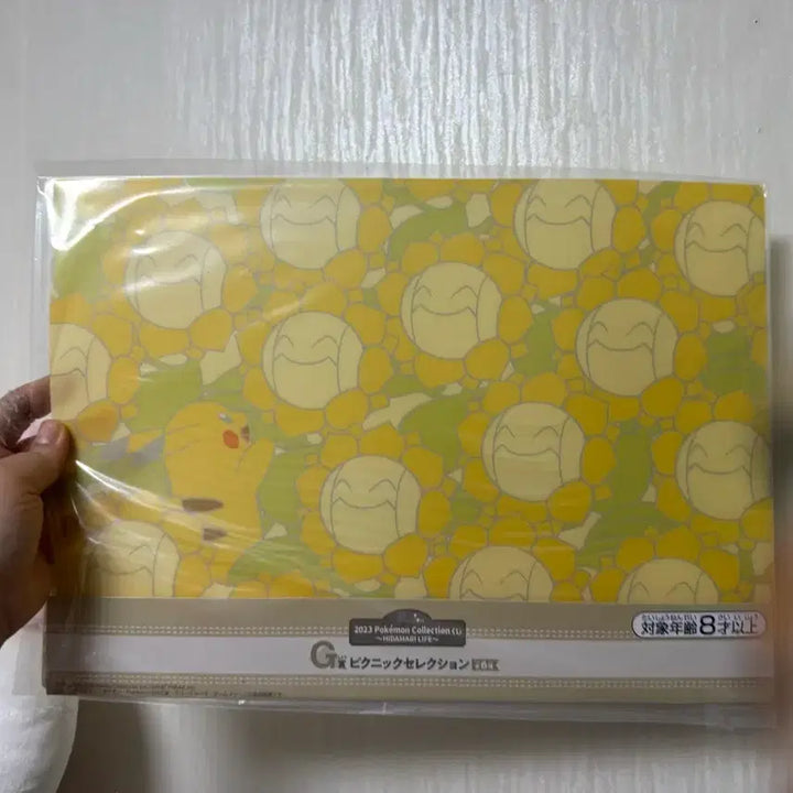 [BUNJANG] Pokemon Lottery Blanket D Prize (Sealed) + Bonus Gift / 포켓몬스터 쿠지 담요 D상 (미개봉) + 사은품