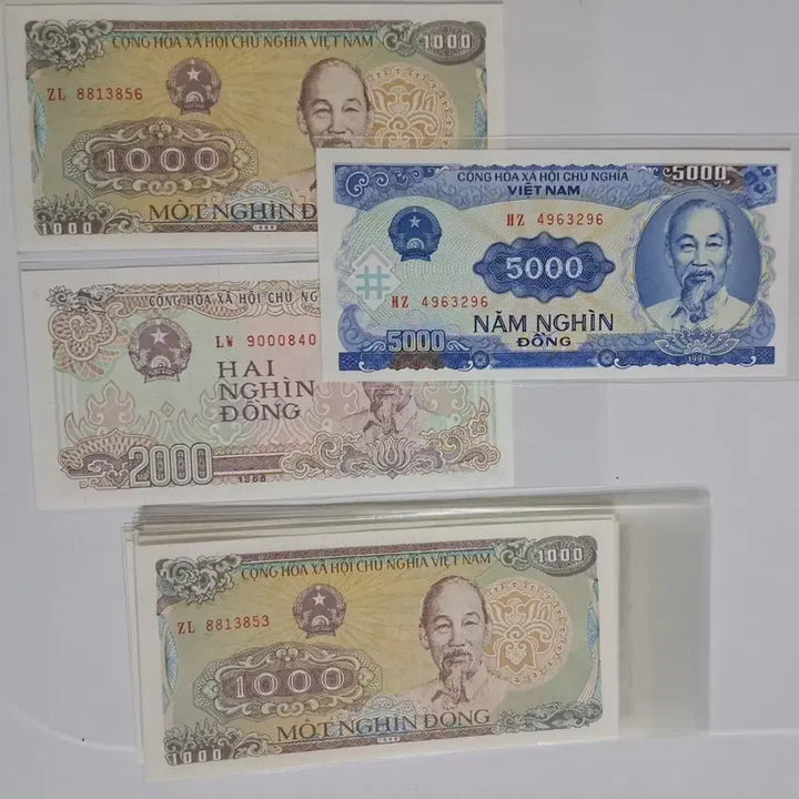 [BUNJANG] Vietnam Banknotes (15 pieces) / 지폐 베트남 15장
