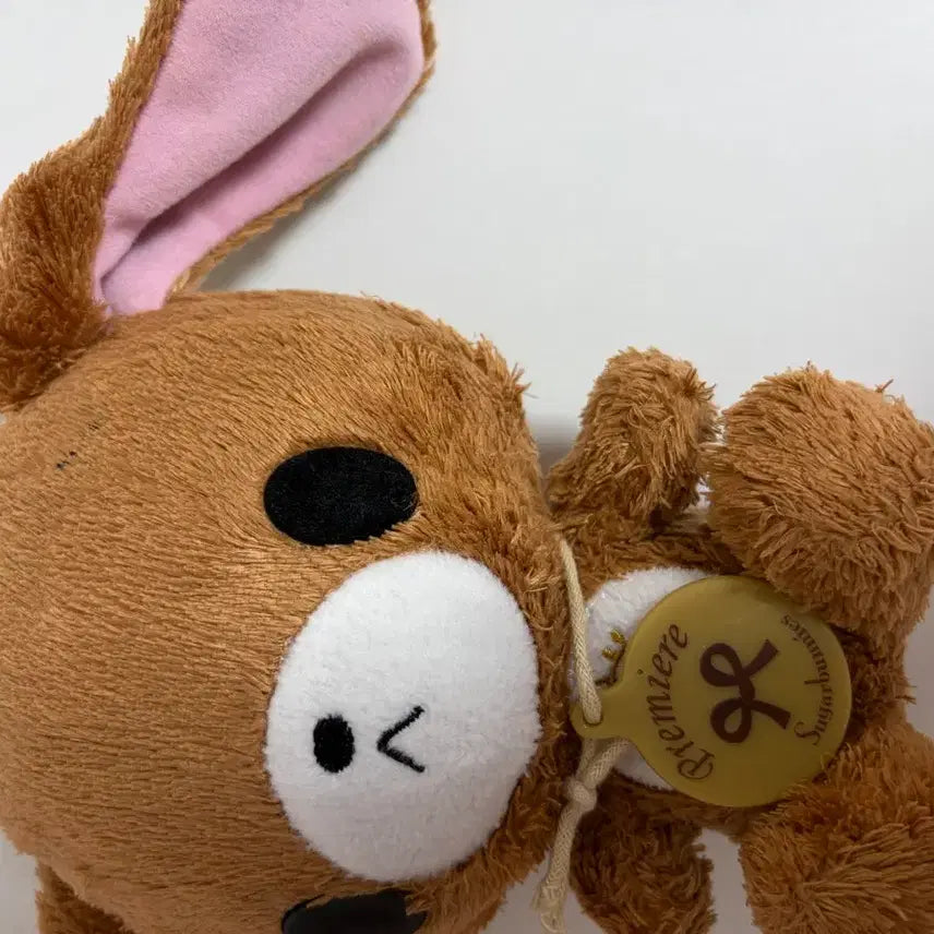 [BUNJANG] Premium Sugarbunnies Kurousa / 프리미엄 슈가바니즈 쿠로우사