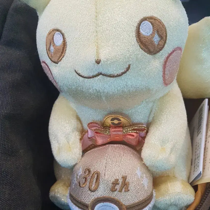 [BUNJANG] Pokemon 30th Anniversary Pikachu Plush Doll / 포켓몬30주년피카츄 인형