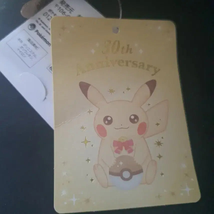 [BUNJANG] Pokemon 30th Anniversary Pikachu Plush Doll / 포켓몬30주년피카츄 인형