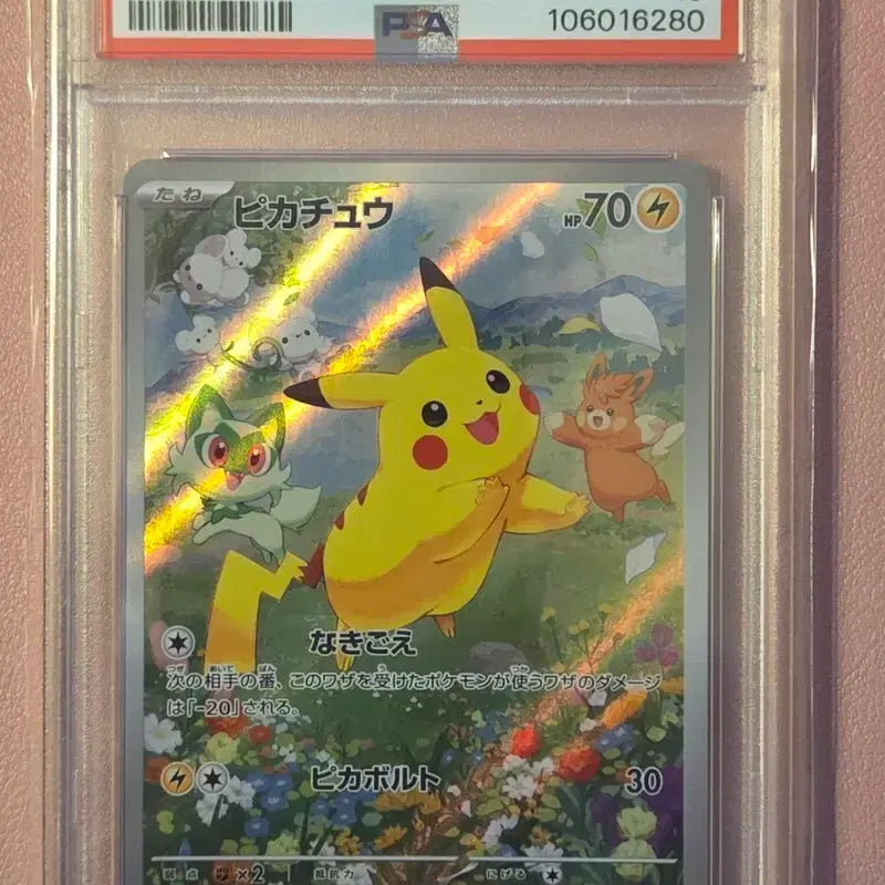 [BUNJANG] Pikachu Summer Campaign Japanese Edition PSA 10 / 피카츄 써머캠페인 일판 PSA10 네고가능
