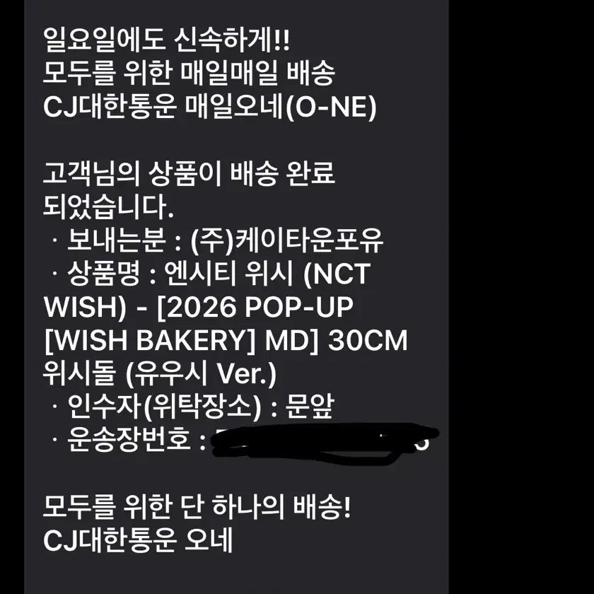 [BUNJANG] NCT WISH Yushi 30cm Doll / NCT 위시 유우시 인형 30cm MD