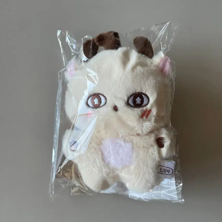 [SOLD OUT] 박지훈 소심이 인형 키링 포카 미개봉