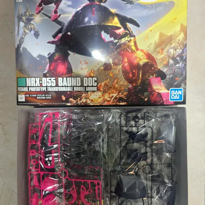 [SOLD OUT] HG 바운드 독
