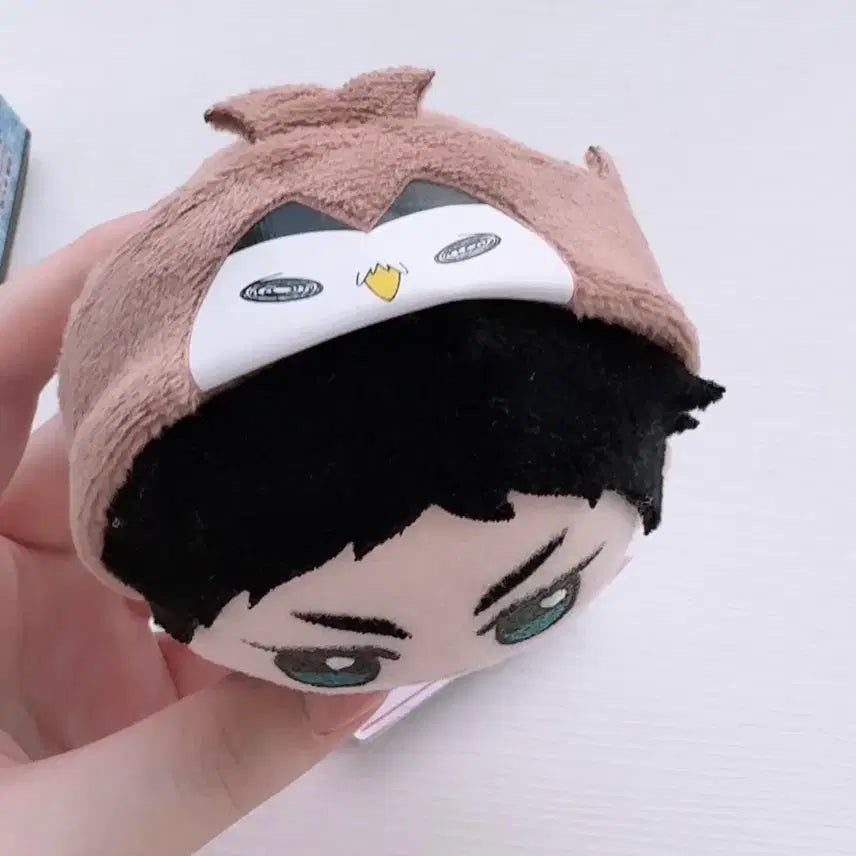 [BUNJANG] Haikyuu Akaashi Plush Doll / 하이큐 아카아시 인형