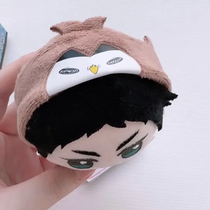 [BUNJANG] Haikyuu Akaashi Plush Doll / 하이큐 아카아시 인형