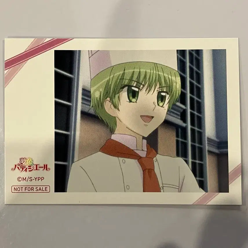 [BUNJANG] Dream Festival Animator Gratte Polaroid Cheki POB Rosin / 꿈빛파티시엘 애니메이트 그라떼 폴라로이드 체키 특전 서로진