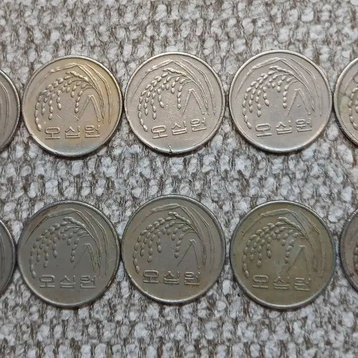 [BUNJANG] 1988 50 Won Coin Bundle (10 pcs) / 1988년 50원 동전 10개 일괄