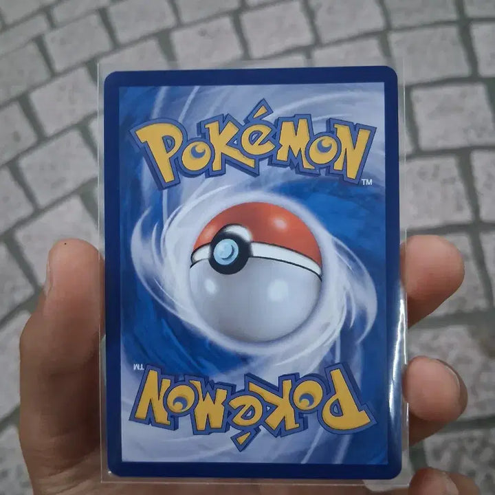 [BUNJANG] Charizard Set - 151 Collection / 151리자몽 세트