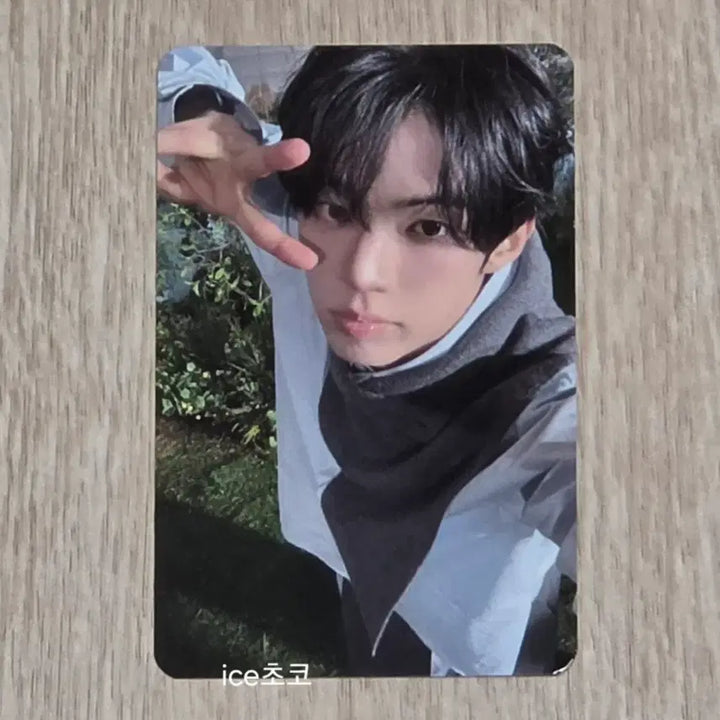 [BUNJANG] TWS Dohyun Damadano Lucky Draw Photocard / TWS 투어스 도훈 다만오 공방 포카 다시만난오늘