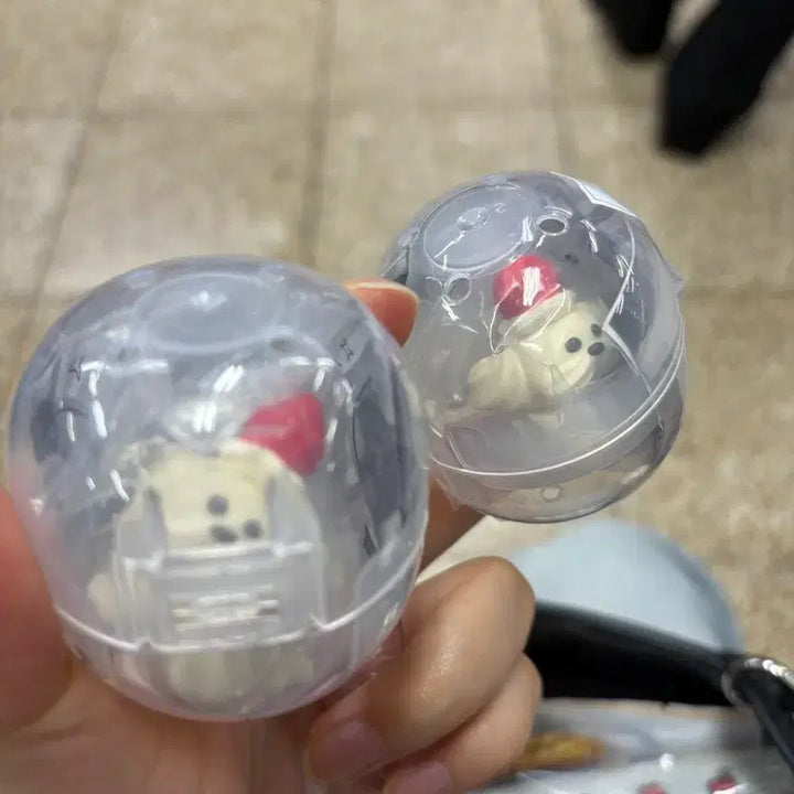 [BUNJANG] Whipped Puppy Strawberry Plush / 휘핑강아지의 생활 딸기
