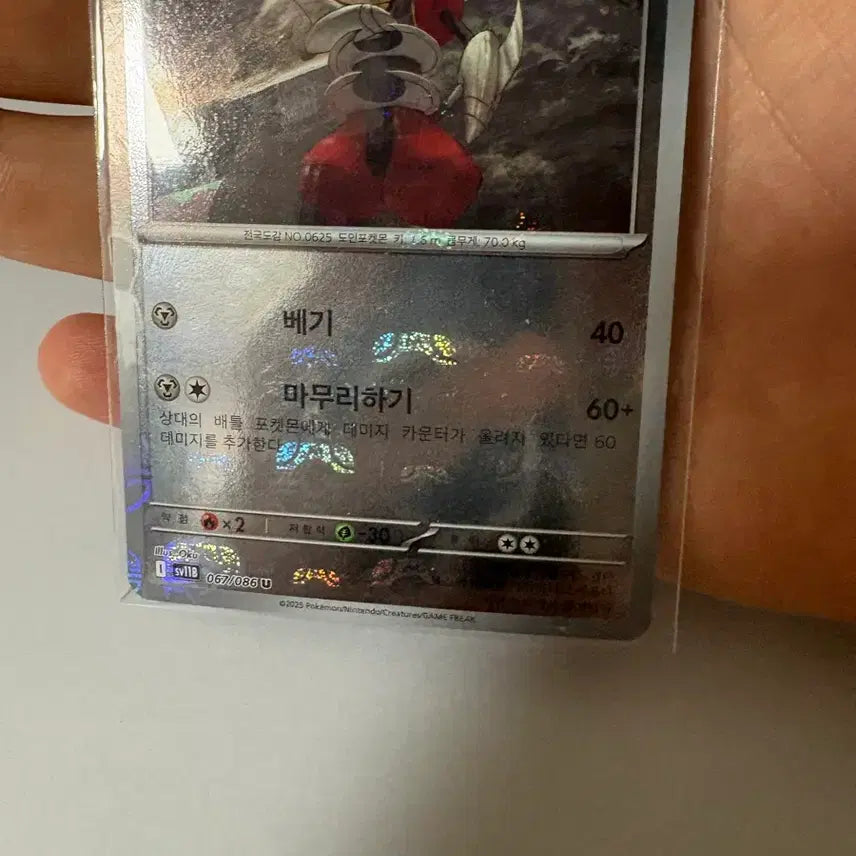 [BUNJANG] Pokemon Card Collection / 포켓몬카드