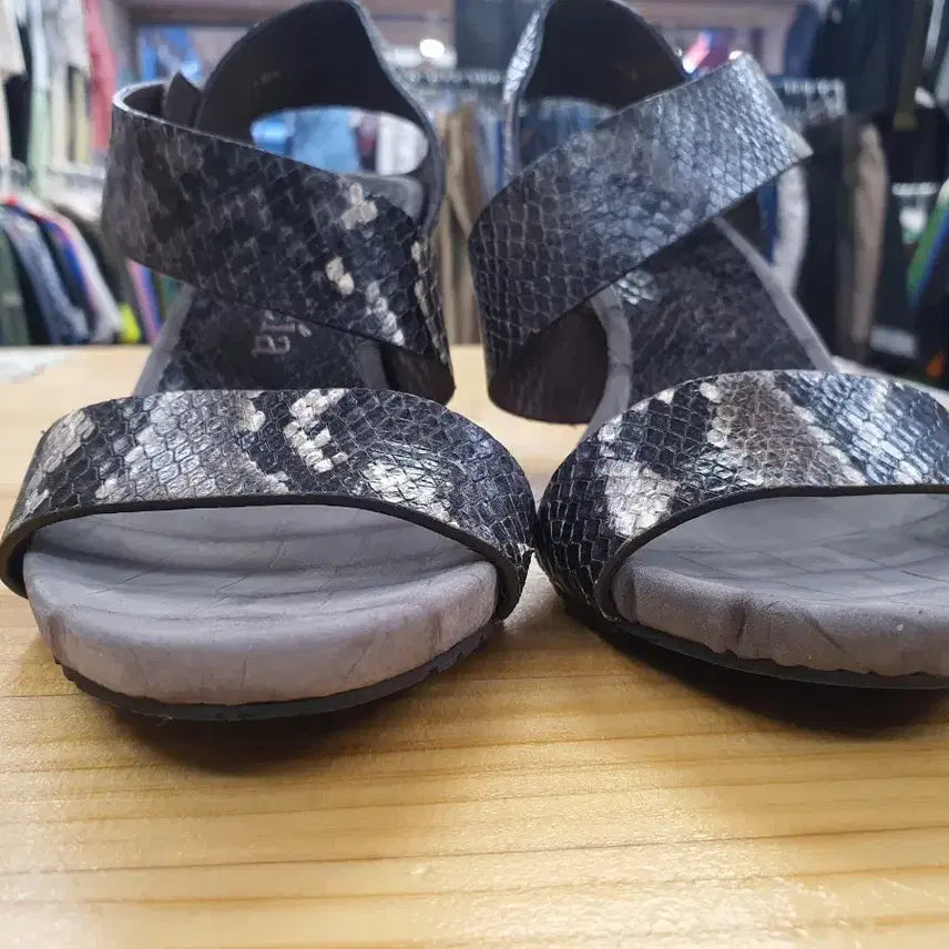 [BUNJANG] Pedro Garcia Python Strap Heeled Sandals Black 38 / [정품] 페드로가르시아 파이톤 스트랩 샌들 힐 블랙 38 (245)