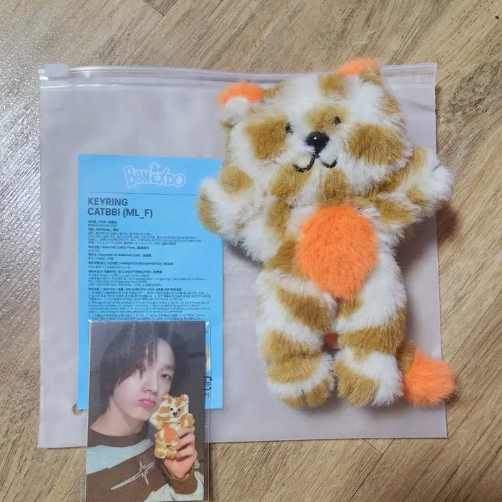 [BUNJANG] BOYNEXTDOOR 1st Gen Catty Photocard / 보이넥스트도어 쁘넥도 1기  캣삐
