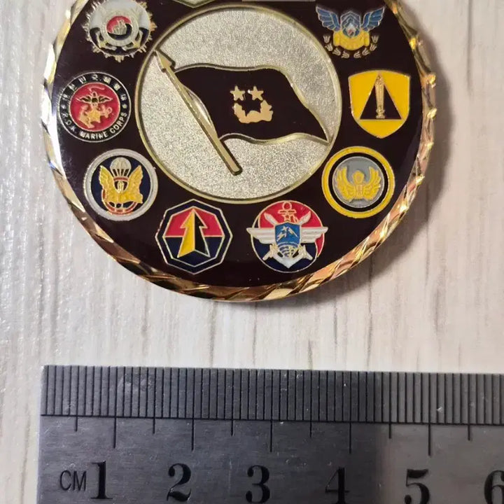 [BUNJANG] Military Coin / 군대코인, 부다코인