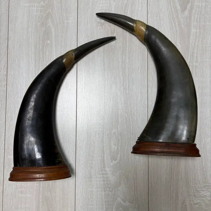 [BUNJANG] Antique Carved Buffalo Horns with Dragon and Phoenix Motif / BUFFALO HORNS 전통 방식으로 조각된 물소 뿔