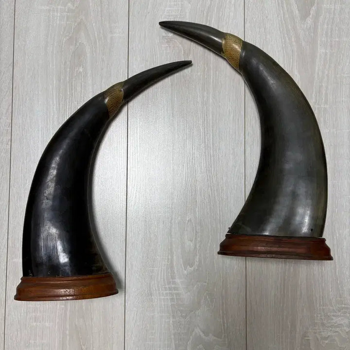 [BUNJANG] Antique Carved Buffalo Horns with Dragon and Phoenix Motif / BUFFALO HORNS 전통 방식으로 조각된 물소 뿔