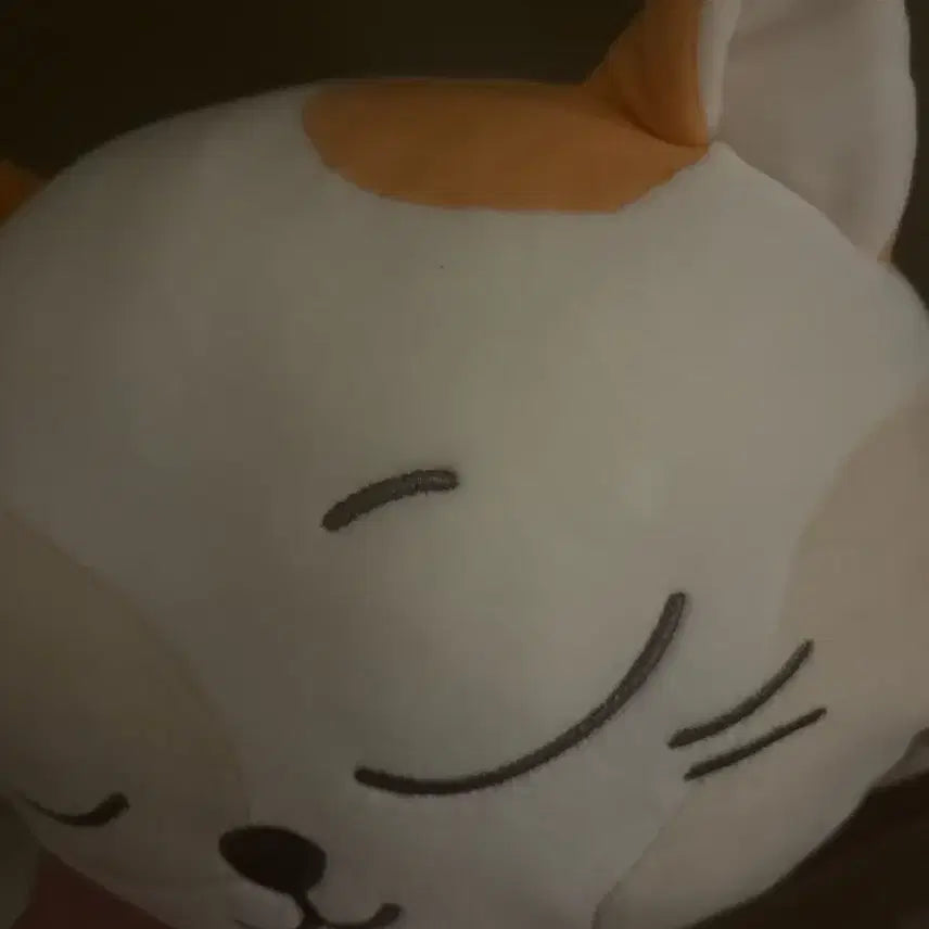 [BUNJANG] Cat P Cushion / 캣삐 쿠션