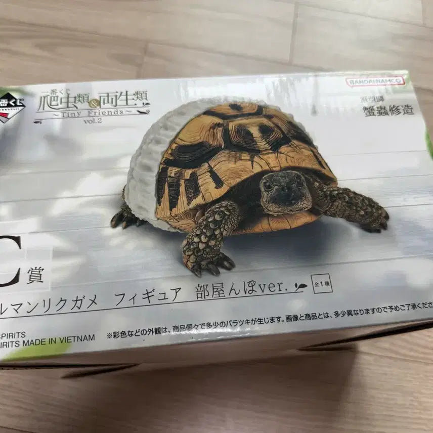 [BUNJANG] Ichiban Kuji Reptiles &amp; Amphibians ~tiny friends~ C Prize Turtle (Sealed) / (미개봉)제일복권 파충류&amp;양서류~tiny friends~ C상 거북이