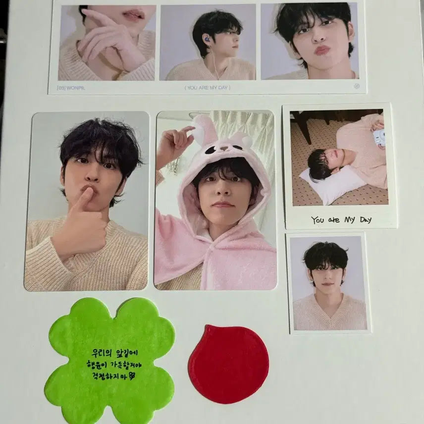 [BUNJANG] Day6 My Day 6th Gen Wonpil Split Set + Unfiltered Solo Concert Confetti / 데이식스 마이데이 6기 키트 원필 분철 + 언필터드 솔콘 컨페티