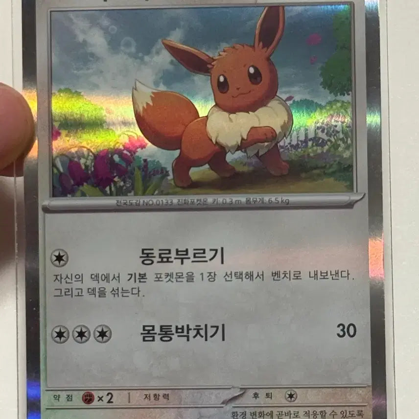 [BUNJANG] Pokemon Eevee Promo Card (Opened) / <~5.25 할인> 포켓몬 이브이 프로모 카드