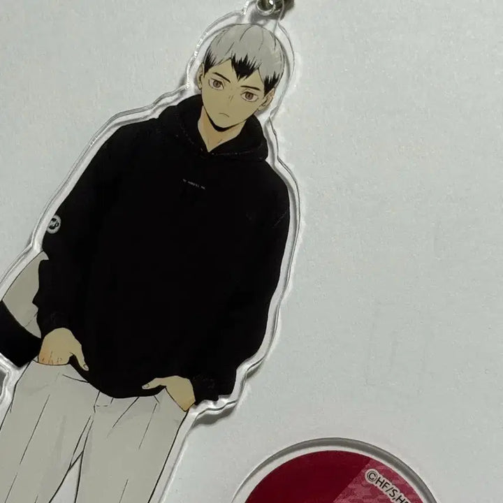 [BUNJANG] Haikyuu!! Shinsuke Kita / 하이큐 키타 신스케