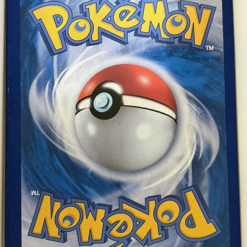 [BUNJANG] Pokemon Card Arcanine/Groudon SAR Set / 포켓몬카드 차데스/그우린차 SAR세트