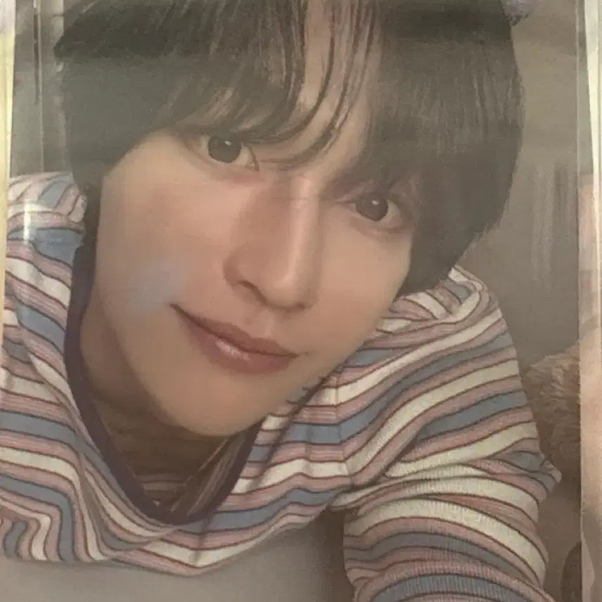 [BUNJANG] Everglow WIBIN Bundle Set Photocard / 에버라이즈 원빈 포토카드 일괄