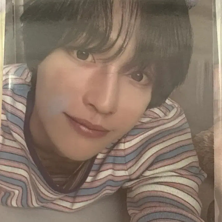 [BUNJANG] Everglow WIBIN Bundle Set Photocard / 에버라이즈 원빈 포토카드 일괄