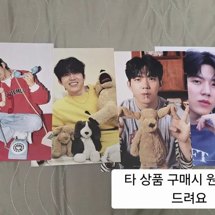 [BUNJANG] Day6 Sungjin KitKat Photocard / 데이식스 킷캣 포카 성진