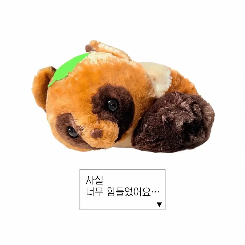 [BUNJANG] Pon Ponto Tanuki Raccoon Plush 40cm / 당신을 기다리다 지쳐버린 너구리