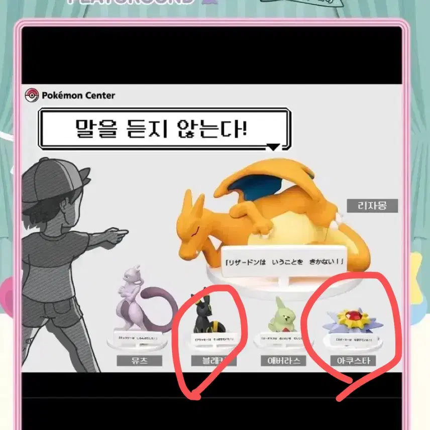 [BUNJANG] Pokemon Umbreon Sylveon Bundle Set / 포켓몬 말을 듣지 않는다 블래키 아쿠스타 일괄