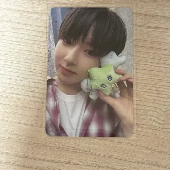 [BUNJANG] NCT WISH Sakuya Wish You Photocard / 엔시티위시 사쿠야 위츄 포카 양도