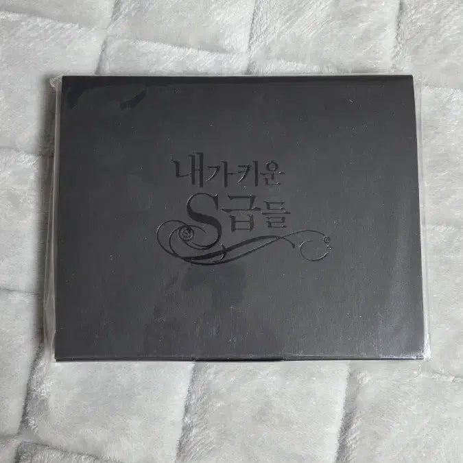 [BUNJANG] The S-Class That I Raised Ridibooks Profile Card Pack / 내스급 리디북스 프로필카드팩