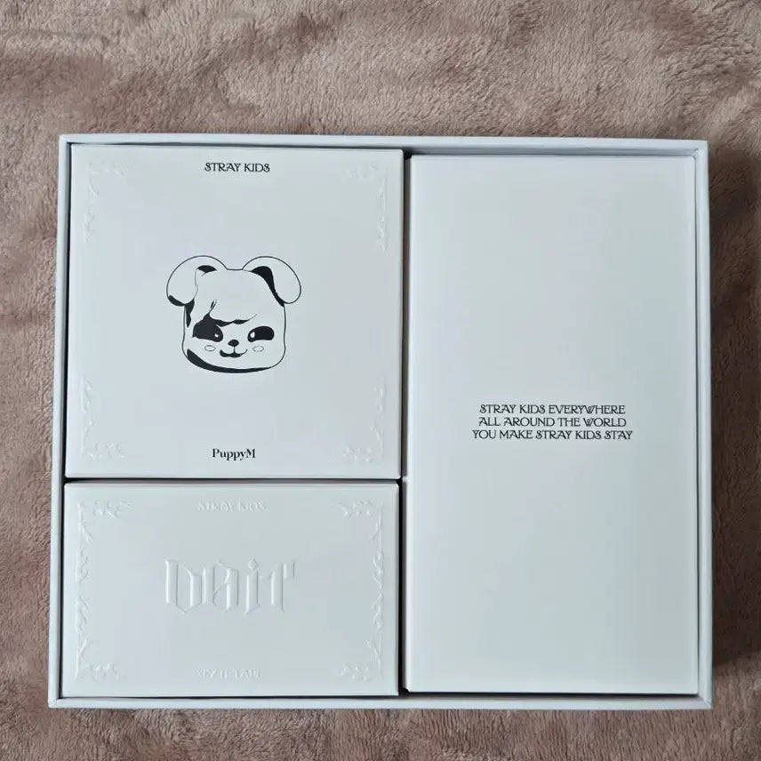 [SOLD OUT] 스트레이키즈 두잇 블루투스 스피커 버전 앨범 퍼핌 IBS-SKZ