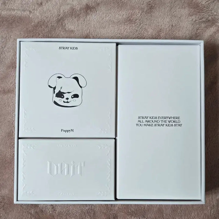 [SOLD OUT] 스트레이키즈 두잇 블루투스 스피커 버전 앨범 퍼핌 IBS-SKZ