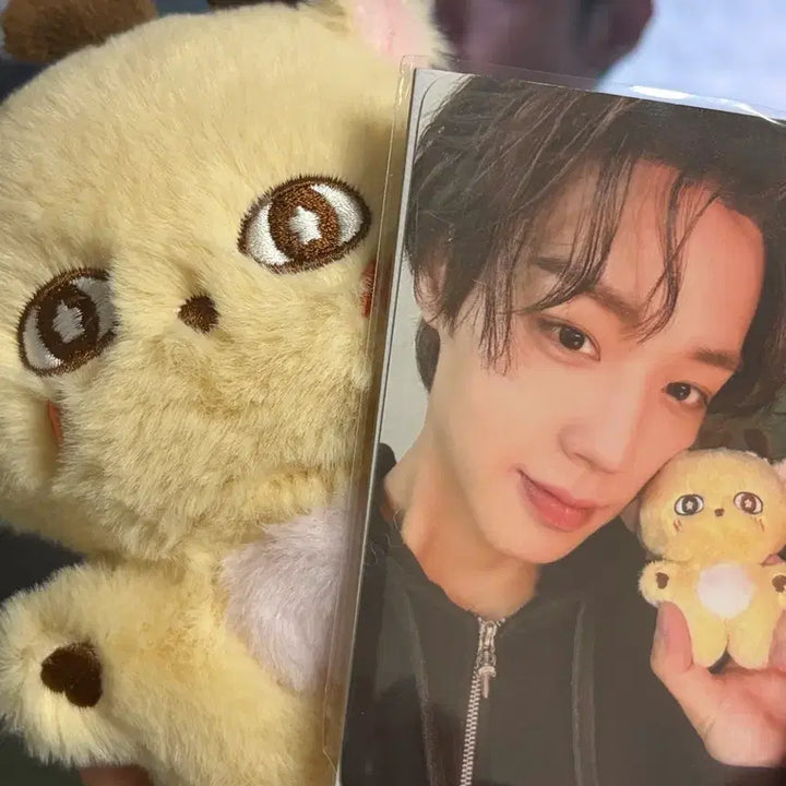 [BUNJANG] Park Ji Hoon Sosimi Photocard / 박지훈 소심이+포카+(옷)