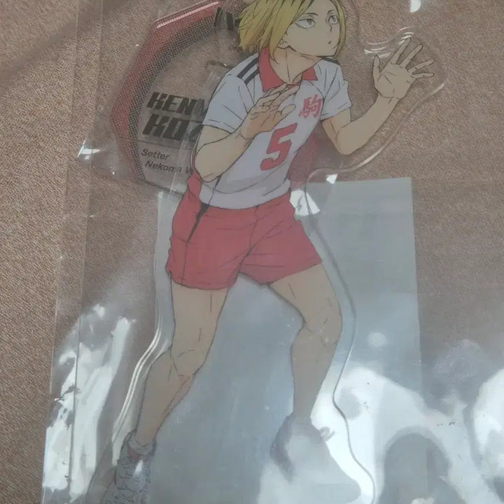 [BUNJANG] Haikyuu!! Kozume Kenma Acrylic Stand / 하이큐 코즈메 켄마 아크릴 스탠드