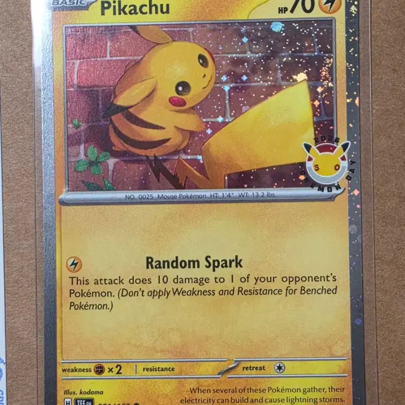 [BUNJANG] Pokemon Pikachu North America Promo 30th Anniversary / 북미 포켓몬고 피카츄 , 30주년 프로모 피카츄