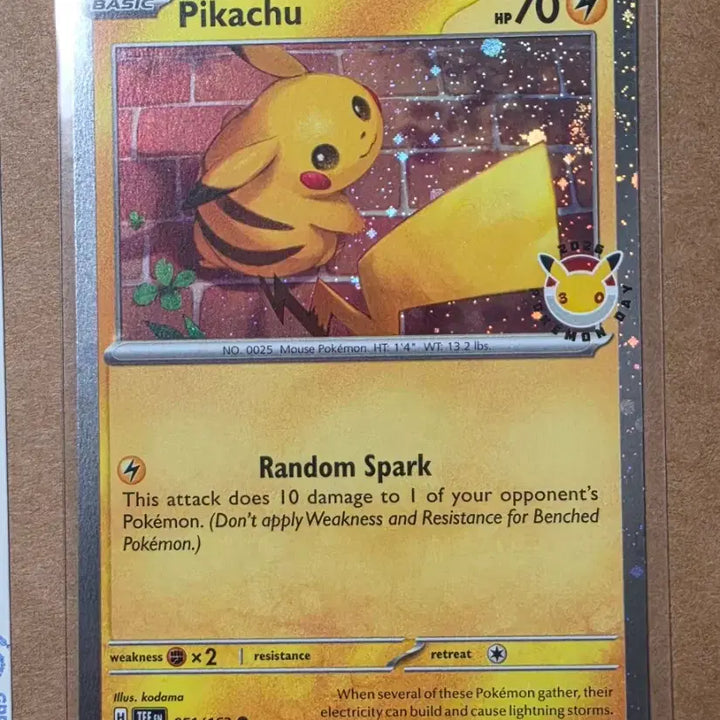 [BUNJANG] Pokemon Pikachu North America Promo 30th Anniversary / 북미 포켓몬고 피카츄 , 30주년 프로모 피카츄