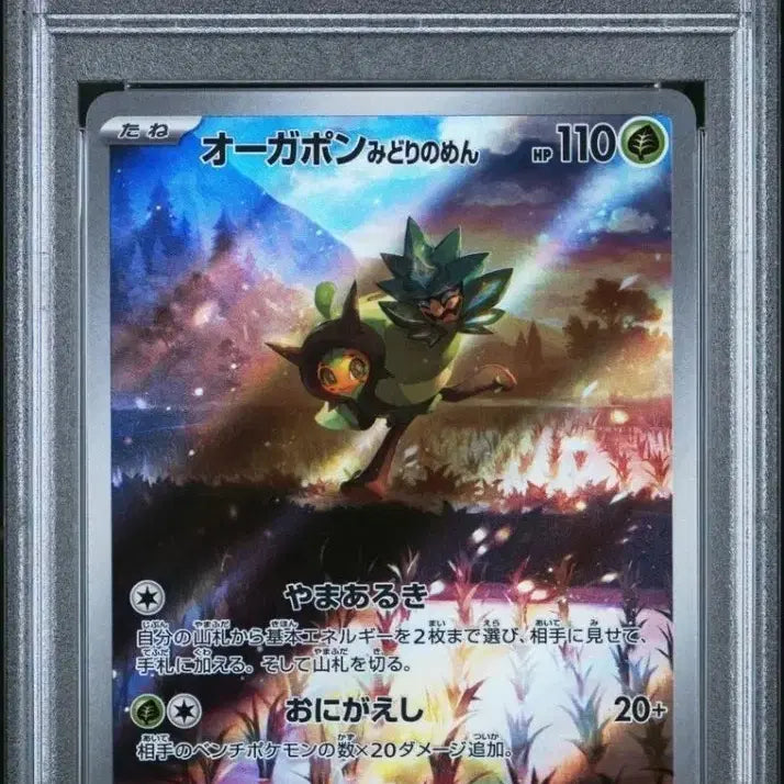 [BUNJANG] Pokemon Ogerpon Promo Card PSA 10 Graded / PSA10 포켓몬카드 오거폰 프로모